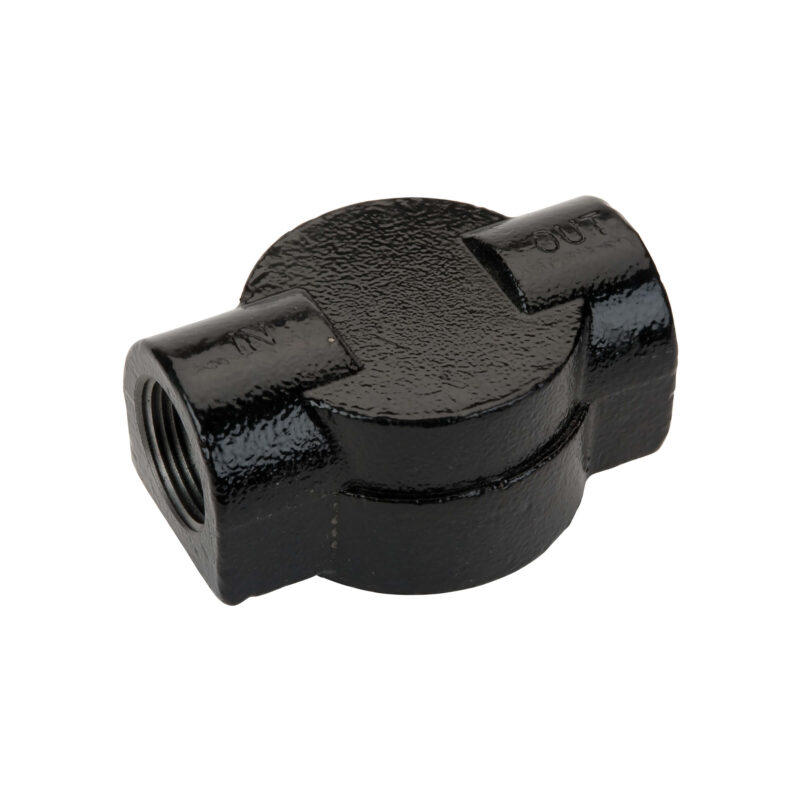 GPI 1 in. NPT 25 GPM Filter Cast Iron Adapter